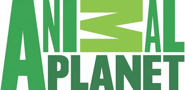 Animal Planet